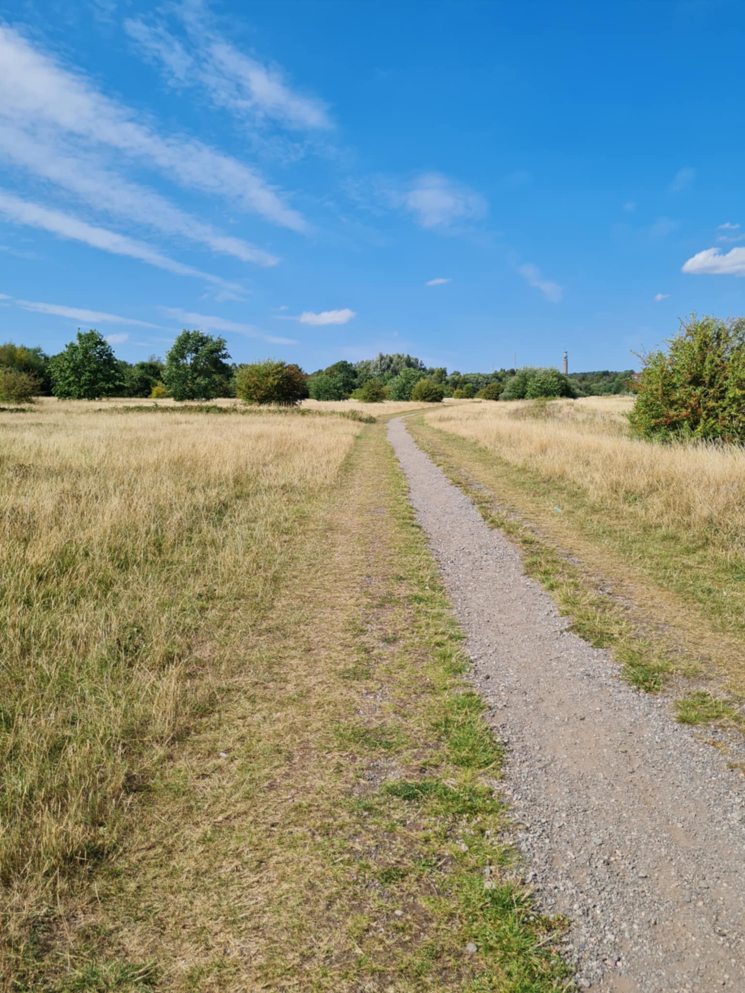 My Brain said “It’s Too Hot” (And Why I Walked Anyway)
