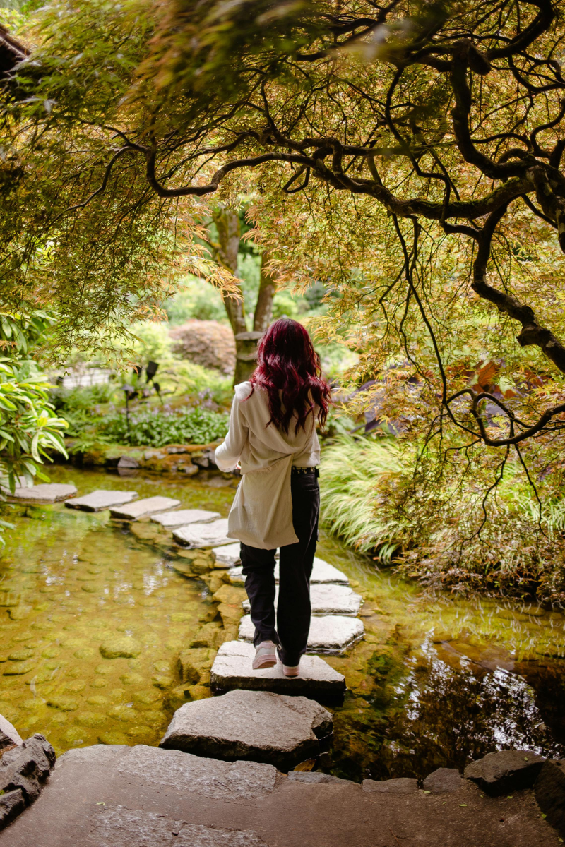 Start Here: Your Complete Guide to Everyday Mastery