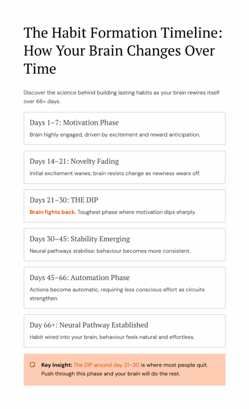 Visual chart showing the 66-day habit formation timeline with key brain rewiring stages from motivation to automation, highlighting the dip between days 21 and 30 when most people quit