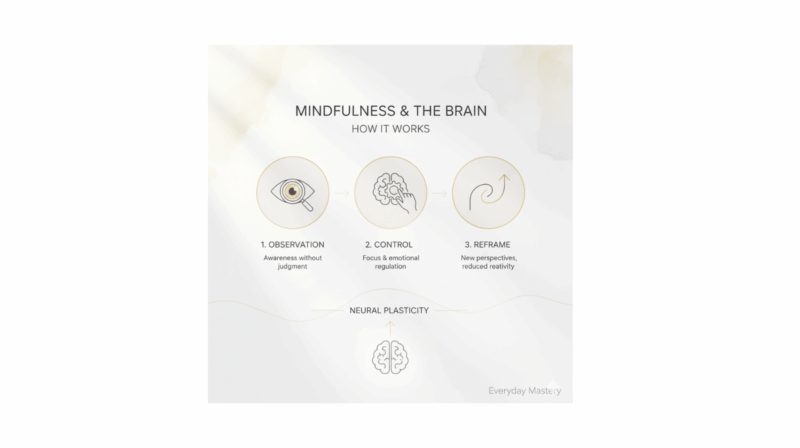 Infographic titled “Mindfulness and the Brain” showing how to let go of the past through three steps — observation, control, and reframe — illustrating awareness, emotional regulation, and neural plasticity