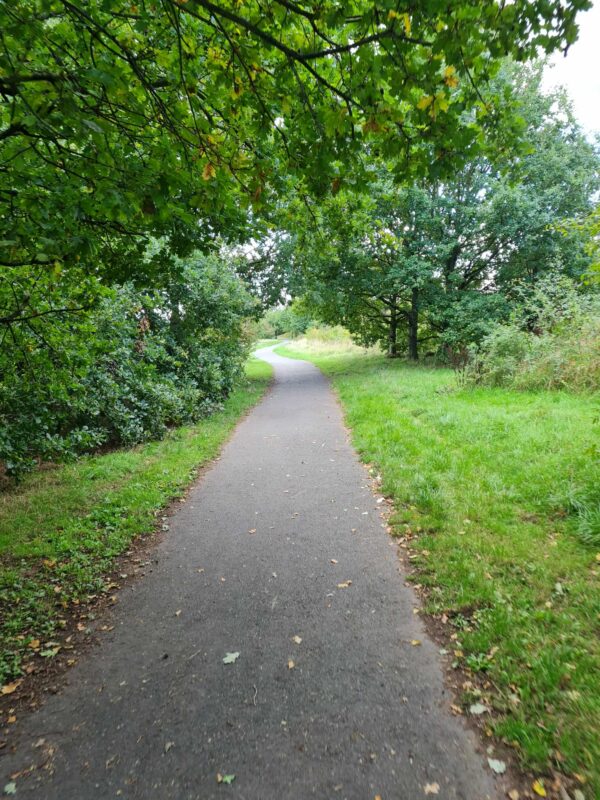 A winding paved path through a park with green trees arching overhead, illustrating the everyday accessibility of walking for health