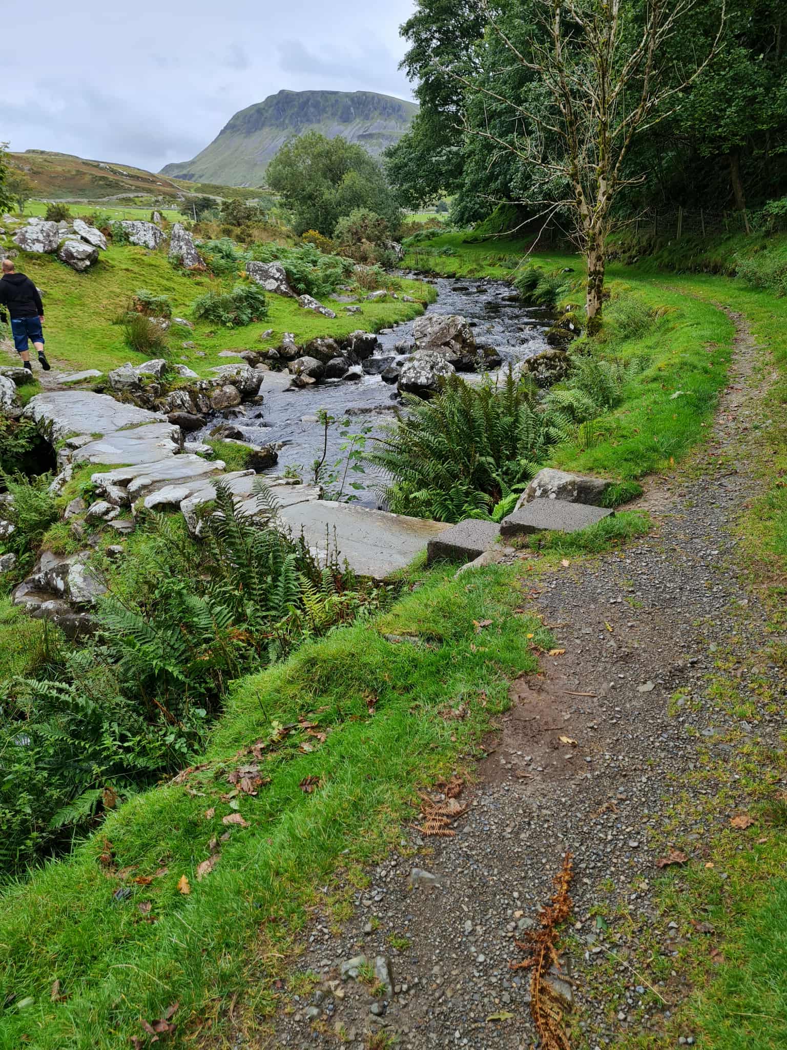 walking along a scenic riverside trail, symbolising the mental and physical benefits of walking daily. walking along a scenic riverside trail, symbolising the mental and physical benefits of walking daily.