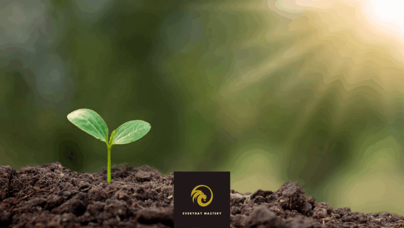 Small Seeds t-shirt - habit building reminder with seedling design for everyday mastery