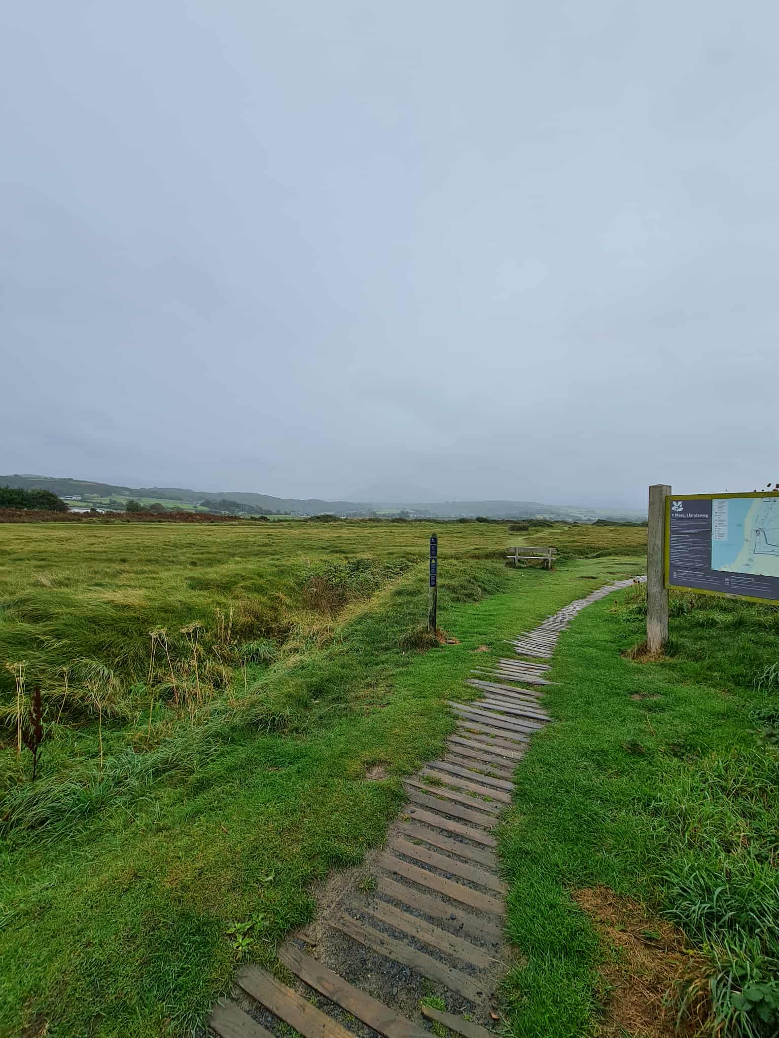 A wooden boardwalk path through green marshland on a cloudy day, illustrating the calming benefits of walking in nature for mind and body A wooden boardwalk path through green marshland on a cloudy day, illustrating the calming benefits of walking in nature for mind and body