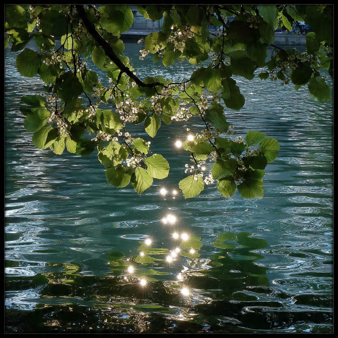 Sunlight glinting through green leaves over calm water, symbolising mindful rest and peaceful reflection