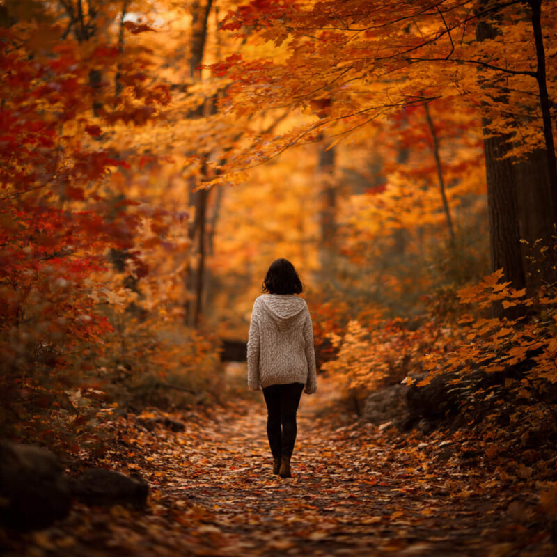 Person walking mindfully along autumn forest path covered in fallen leaves surrounded by golden foliage