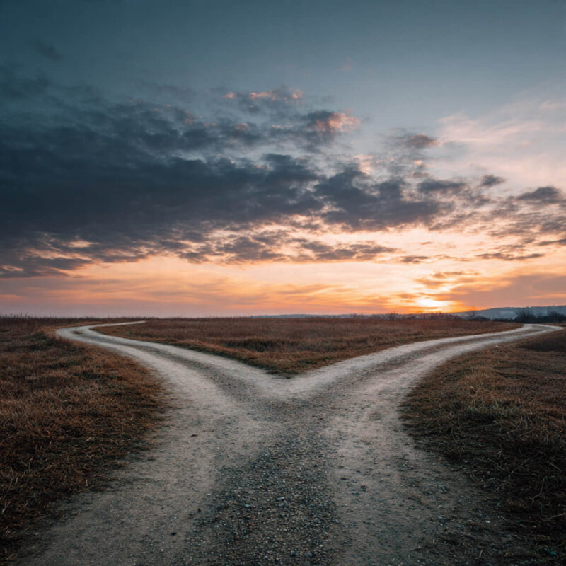 Two paths diverging at sunset symbolizing the choice between autopilot habits and intentional living stop wasting time