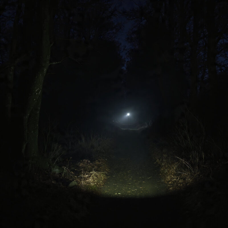 Dark forest walking path at night illuminated by head torch beam, showing the reality of winter walking habit UK