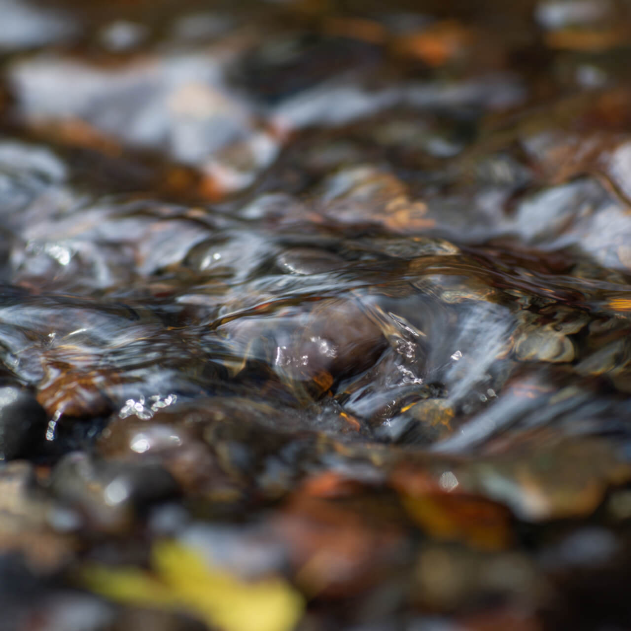 Water flowing over stones demonstrating impermanence and constant change in Buddhist wisdom"